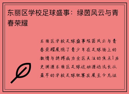 东丽区学校足球盛事：绿茵风云与青春荣耀