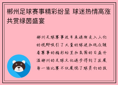 郴州足球赛事精彩纷呈 球迷热情高涨共赏绿茵盛宴
