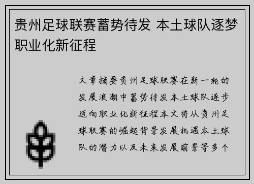 贵州足球联赛蓄势待发 本土球队逐梦职业化新征程