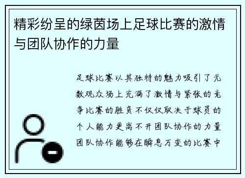 精彩纷呈的绿茵场上足球比赛的激情与团队协作的力量