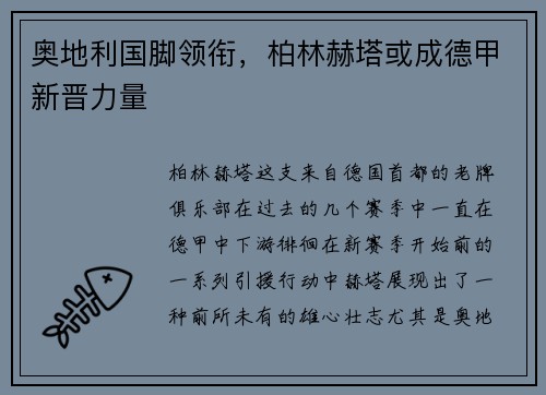 奥地利国脚领衔，柏林赫塔或成德甲新晋力量